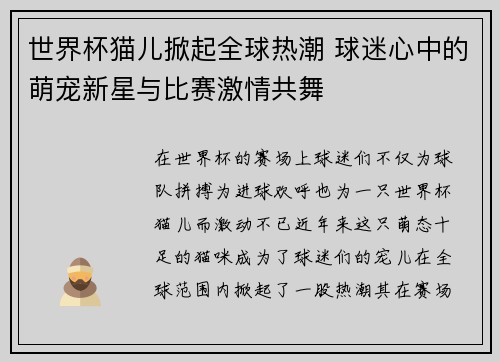 世界杯猫儿掀起全球热潮 球迷心中的萌宠新星与比赛激情共舞